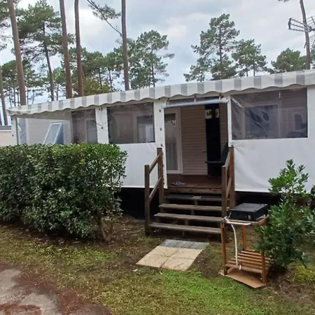 Mh330 2 Et 1 Salle De Bain Dans 4 Etoiles * Saint-Julien-en-Born